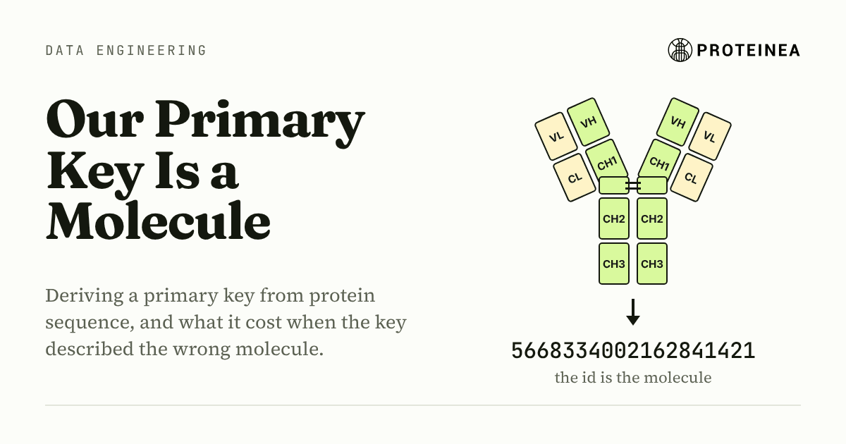Our Primary Key Is a Molecule. A textbook antibody drawn as two Fab arms and a stem, its heavy chain domains in green and its light chain domains in amber, resolving by an arrow into a single long integer, captioned the id is the molecule